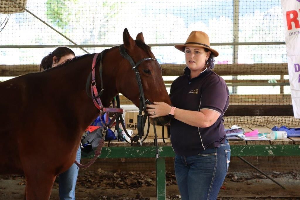 Woman in hat and jeans holding horse's bridle. Another person stands beside the horse in a stable setting.