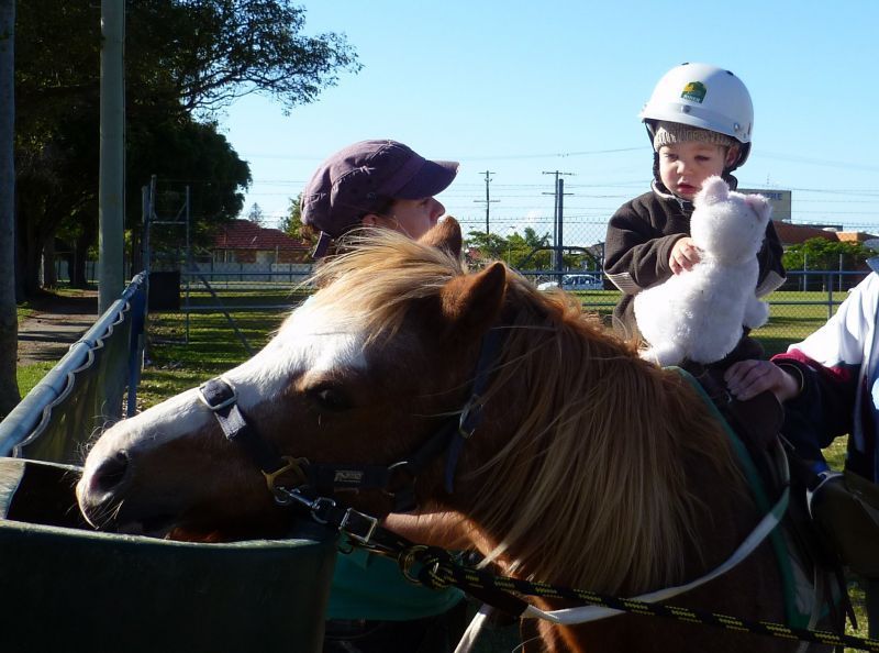 Child on pony, wearing helmet, with adult nearby. Pony has a white blaze. Outdoor setting.