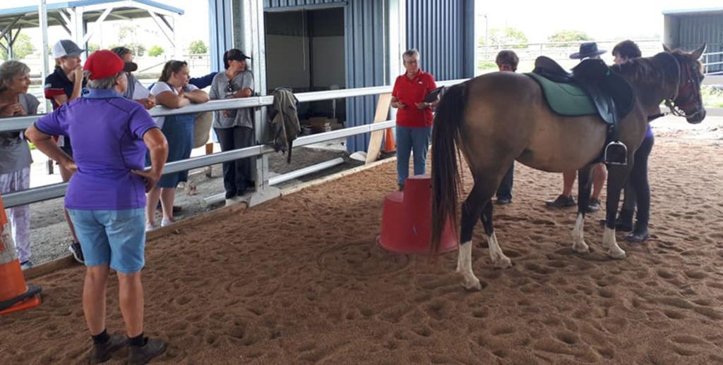 People watching a person on a horse inside an arena. The horse has a green saddle. Some are holding the railing.