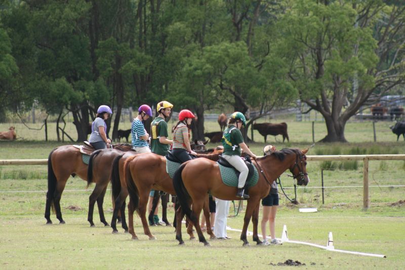 Six riders on horseback, lined up on grass field, preparing for an event. Trees in background.