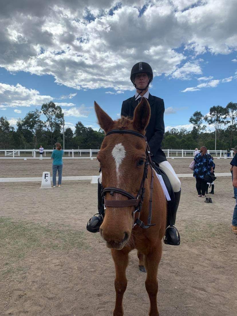 Equestrian rider on chestnut horse in dressage arena, wearing formal attire.