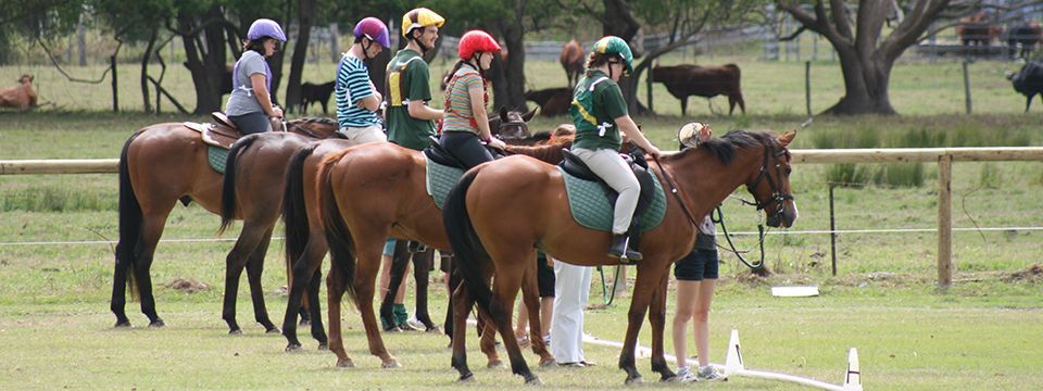 People riding horses in an outdoor riding arena. Several horses and riders are lined up.