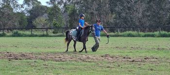 A person leading a horse with a child rider in a grassy field.