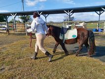 Woman leading a pony with a saddle in an outdoor paddock.