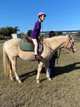 A person wearing a pink helmet rides a light-colored horse in a grassy field on a sunny day.