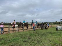People on horseback near a wooden fence, riding lessons in an outdoor arena. Overcast day.