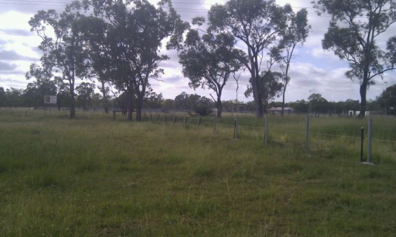 Grassy field with scattered trees under a cloudy sky.