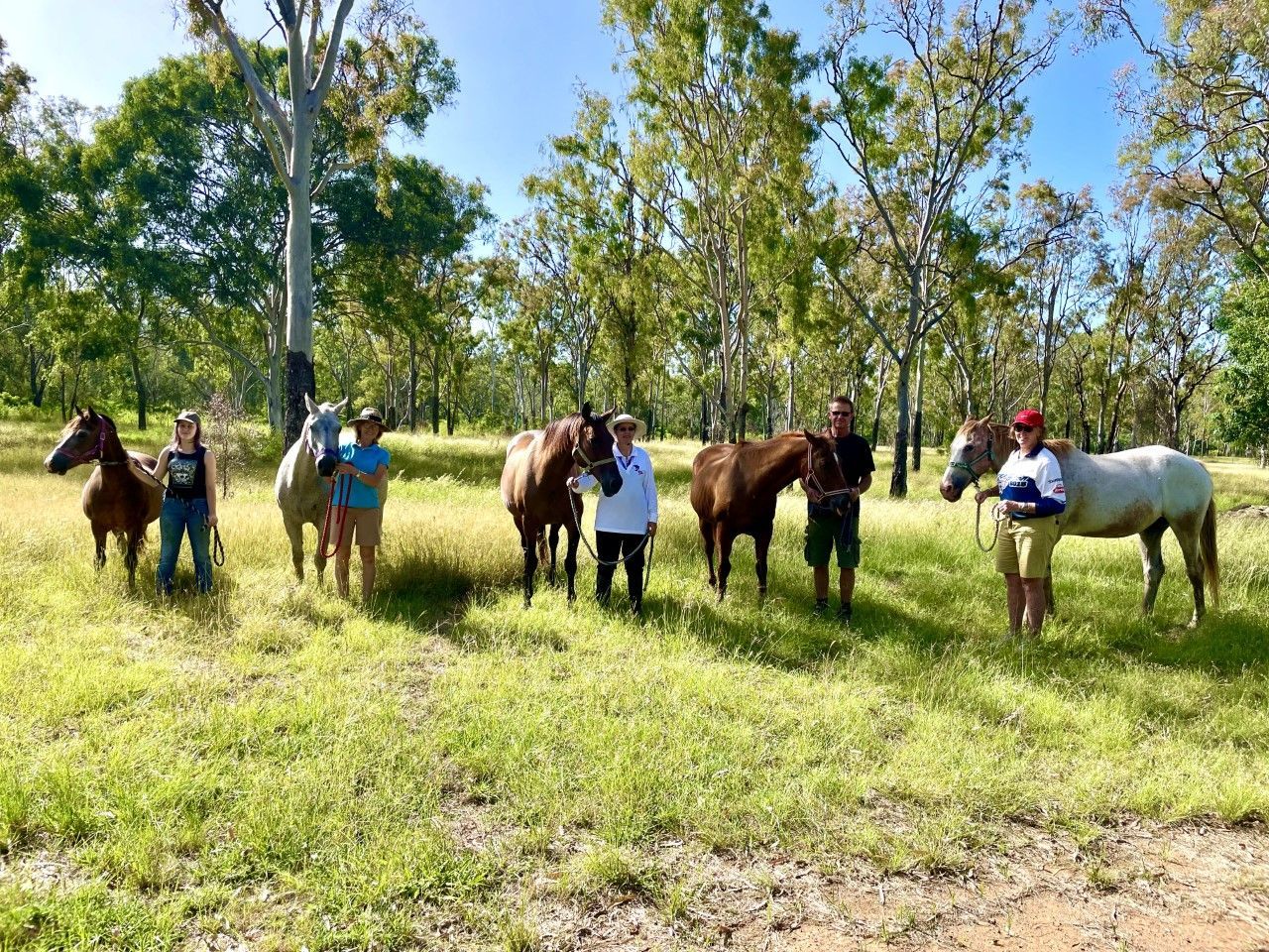People stand with horses in a grassy field, surrounded by trees under a bright sky.