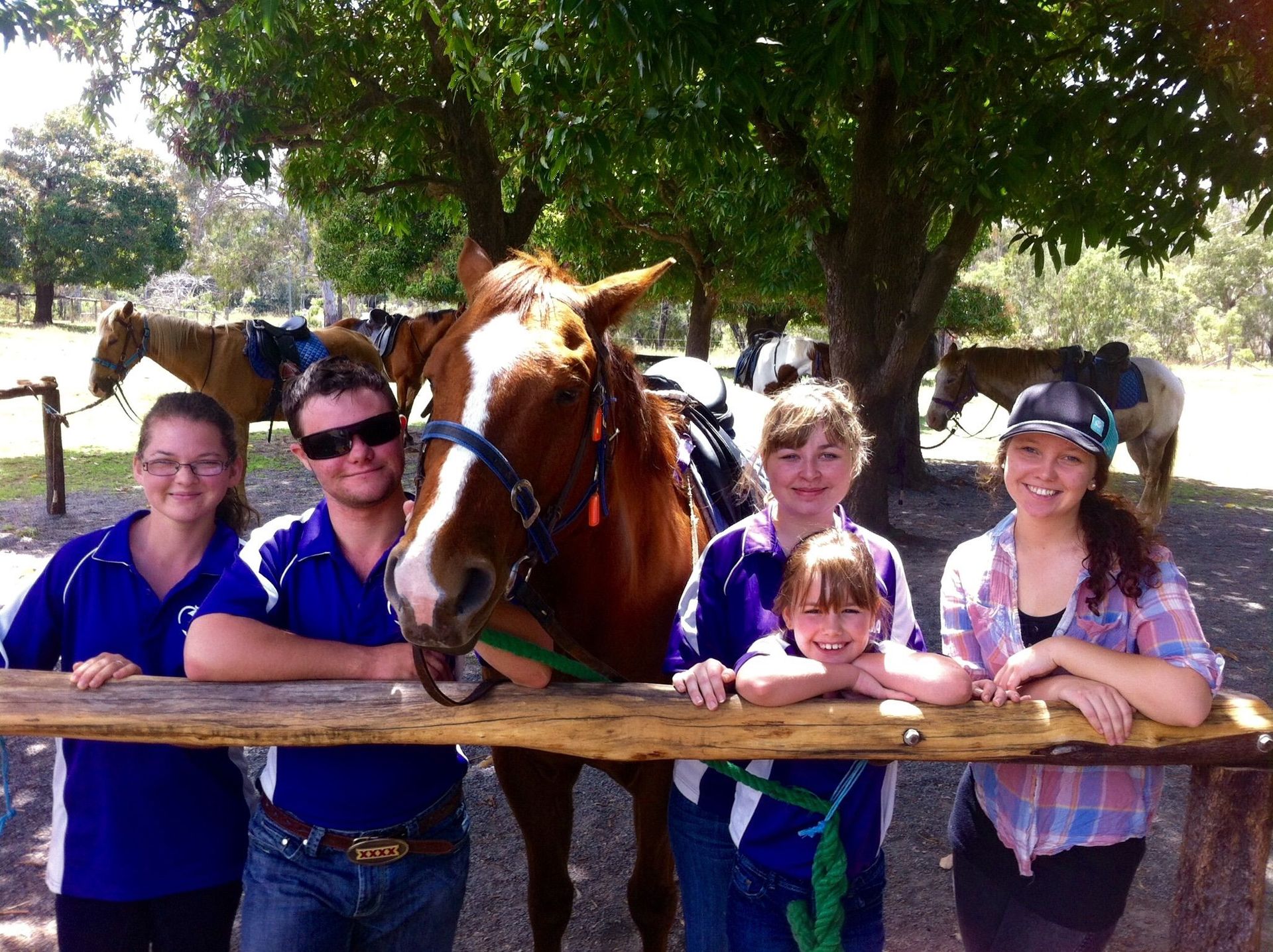 Group poses with horse, smiling outdoors. People in blue shirts, horse brown and white, leaning on wooden fence, sunny day.