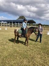 Child on pony, guided by adult in an outdoor arena on a sunny day.