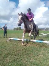 Horse and rider jumping over a low rail fence on a grassy field; another person looks on.