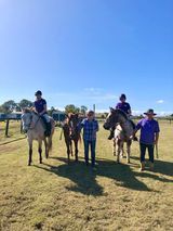 People with horses in a field on a sunny day.