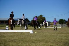 Horses with riders in an outdoor arena, instructor walks with them, sunny day.