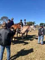People on horseback being watched by others in a sunny field.