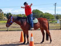 Man on horseback, arms raised, smiles. Horse between orange cones in outdoor riding arena.