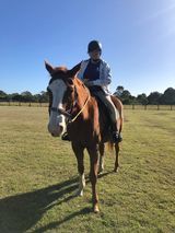Person on a chestnut horse with white face markings in a grassy field on a sunny day.