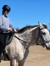 Person wearing helmet on a gray horse in a sunny outdoor setting.