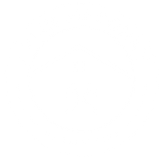 Aplin Masonry of Telluride logo