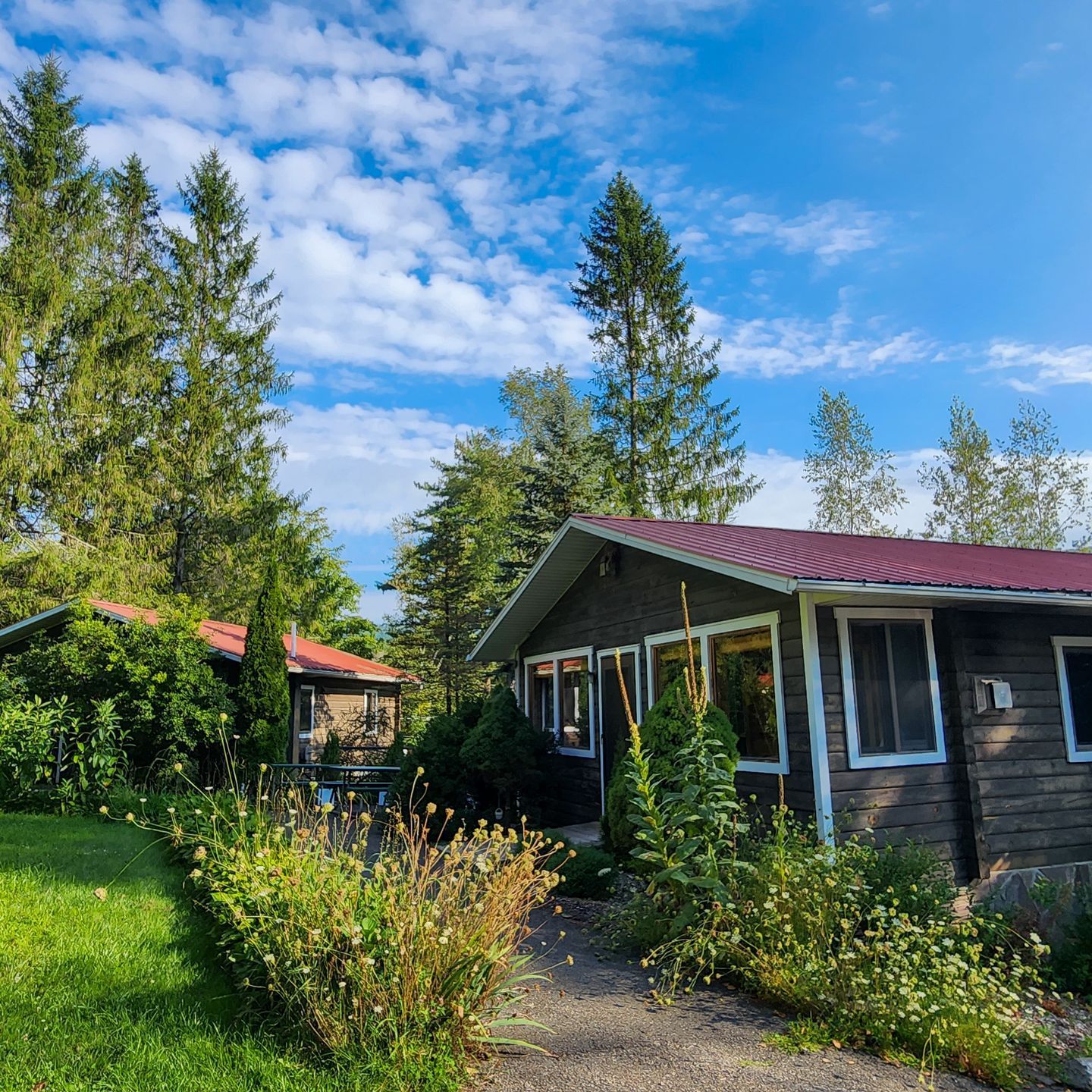 View of Belleayre Lodge cabin exteriors, surrounded by beautiful foliage.