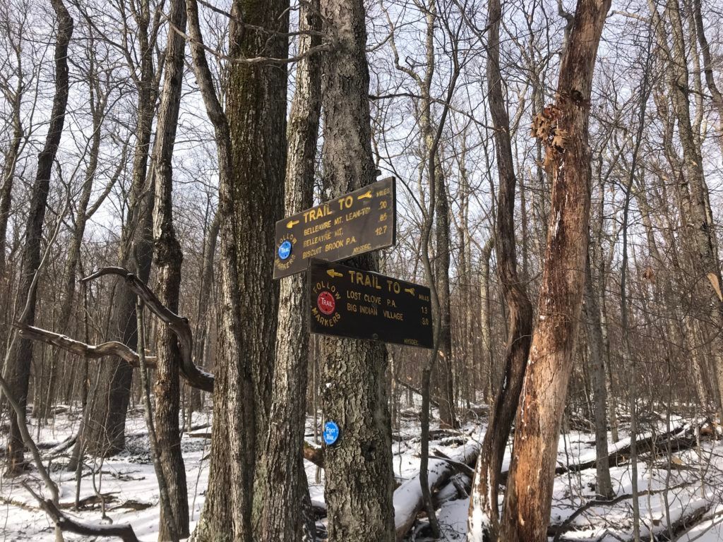 View of Belleayre Mountain's trail navigational signage.