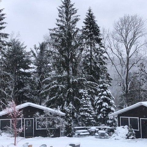 Exterior of Belleayre Lodge's grounds, showing trees and cabins in show.