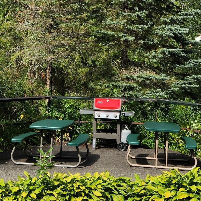 Scenic outdoor photo of a grill and picnic tables next to a Belleayre Lodge cabin. Views of Belleayre Mountain the Catskills.