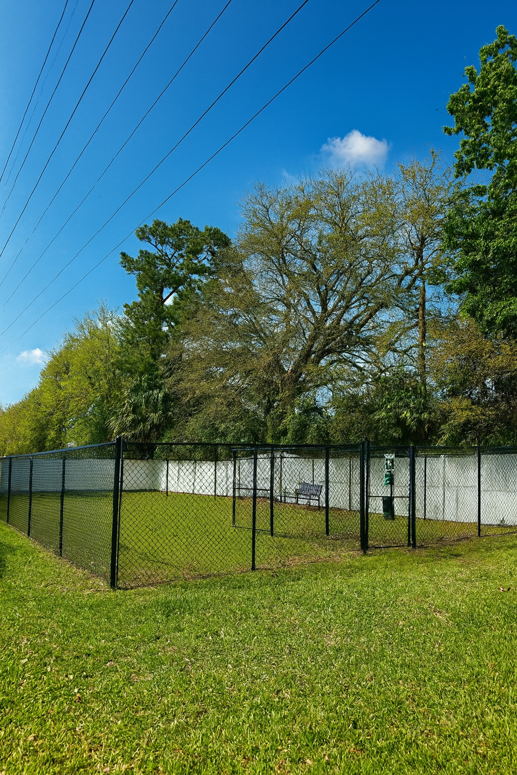 Black fenced dog park, green grass, white wall, trees, and a blue sky.