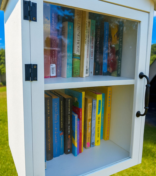 Photo of a community sharing library