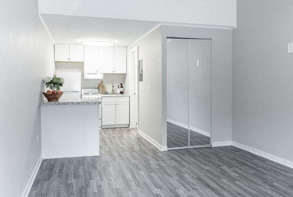 Photo of a kitchen, and in the middleground is a closet in the living room area