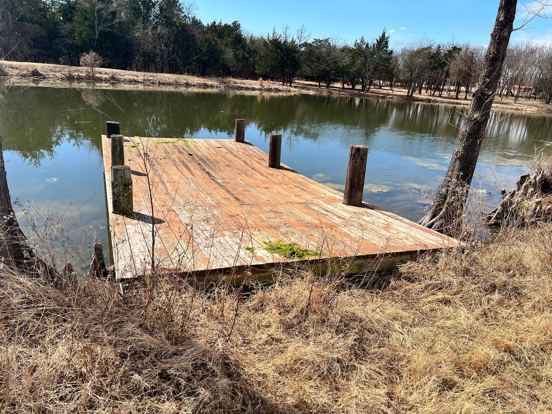 A wooden dock is sitting on the shore of a lake.