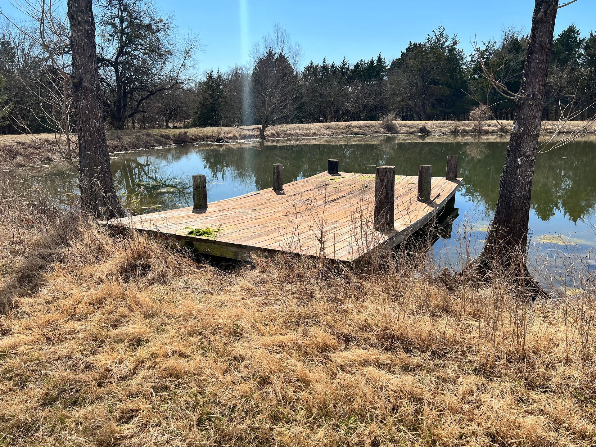 A wooden dock is sitting in the middle of a lake.