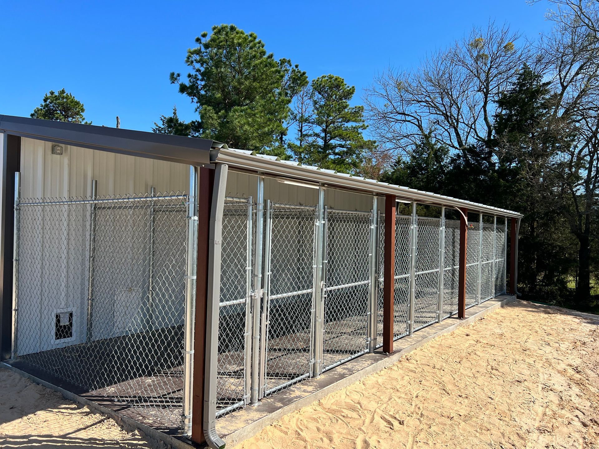 A row of chain link fenced in kennels with trees in the background