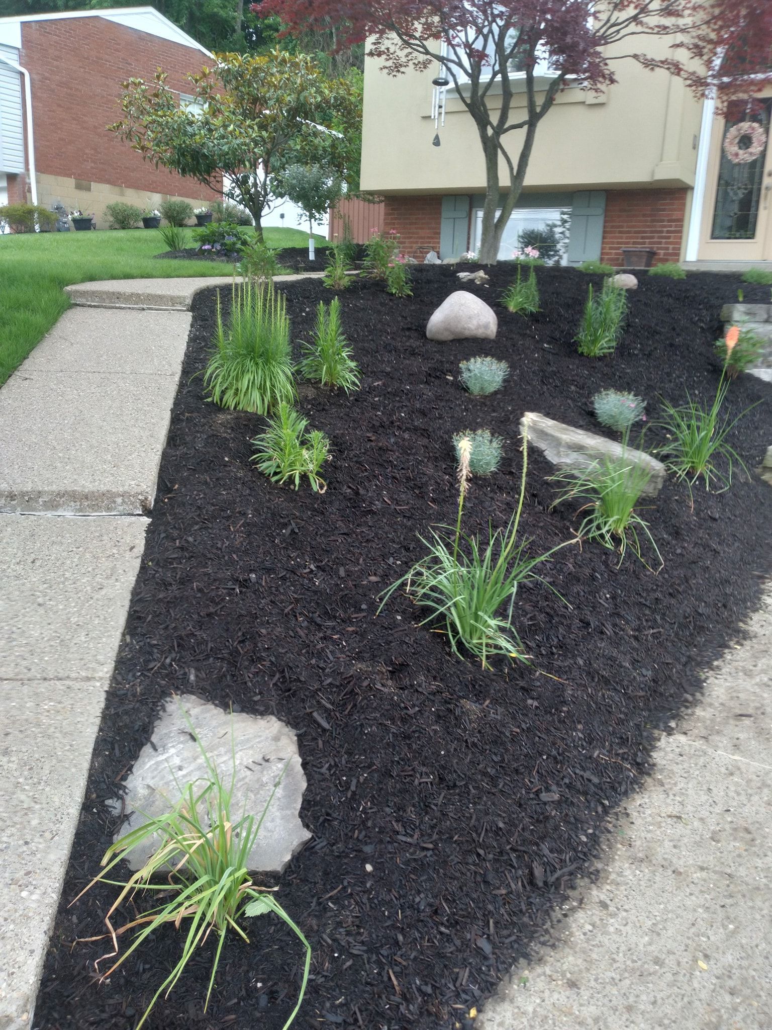 A flower bed with dark mulch, plants, and rocks next to a sidewalk and a light-colored house.
