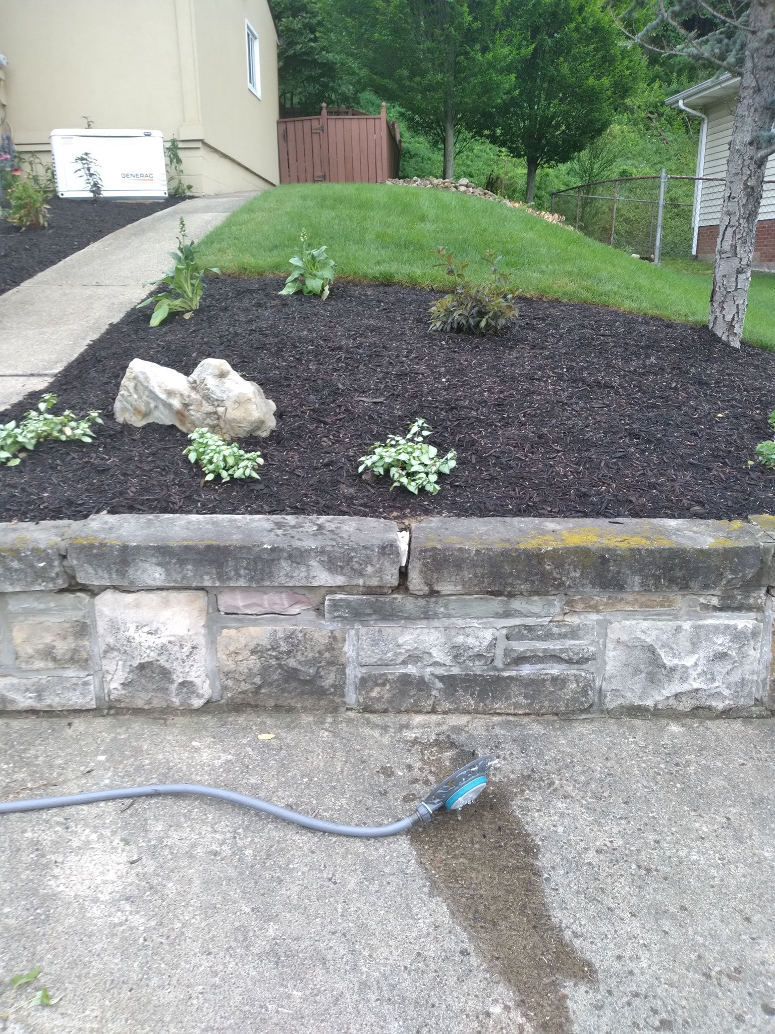 A garden bed with dark mulch, plants, and a stone retaining wall. A hose is on the driveway.