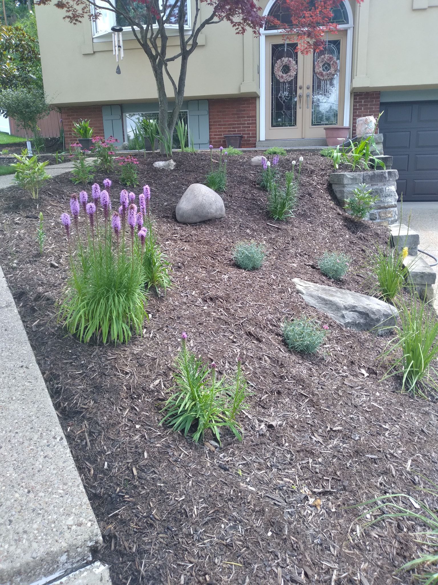 Flower garden in front of a house, mulched with rocks and blooming purple flowers.