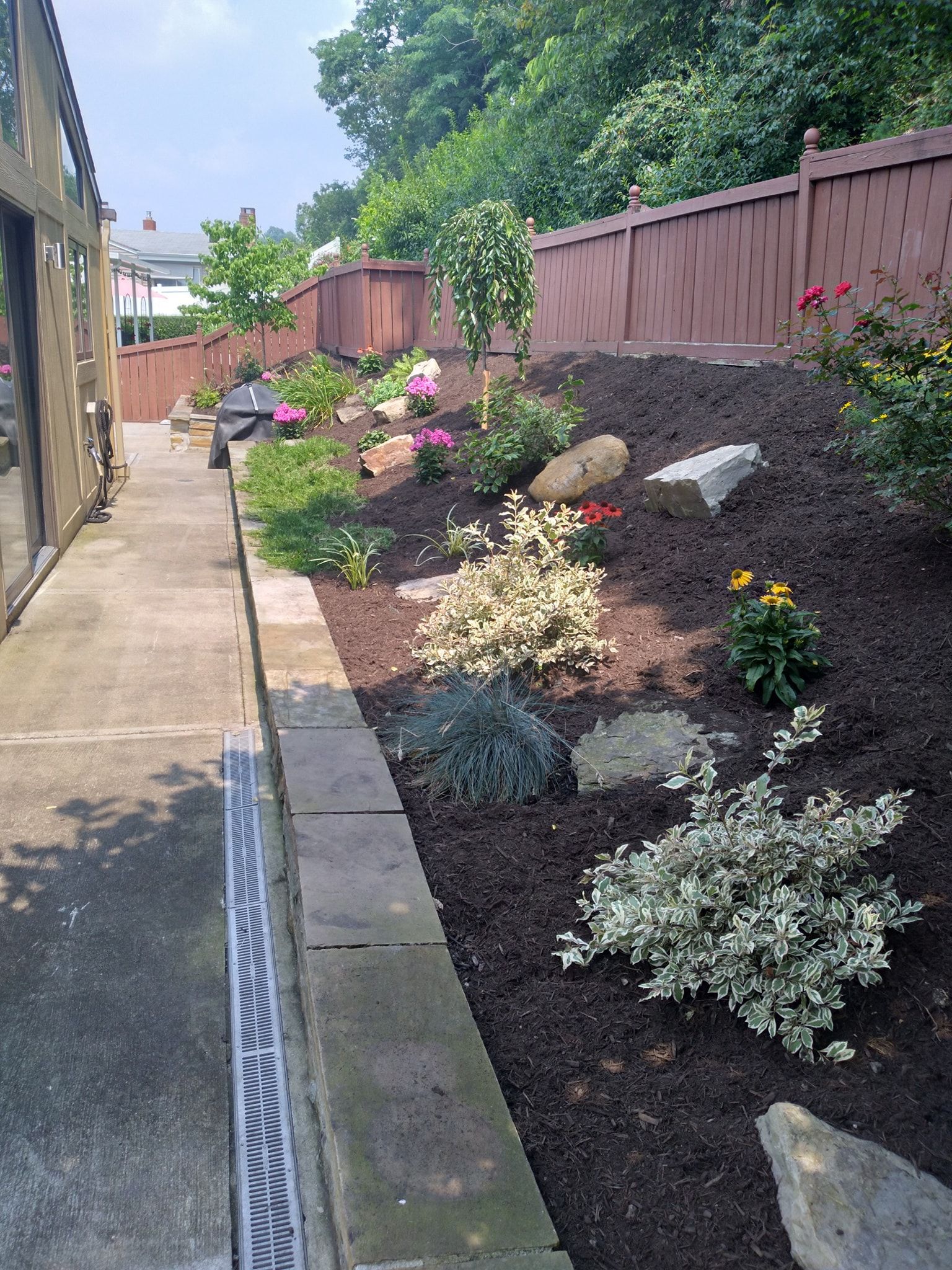 A landscaped garden with various plants, rocks, and a brown fence on a sunny day.