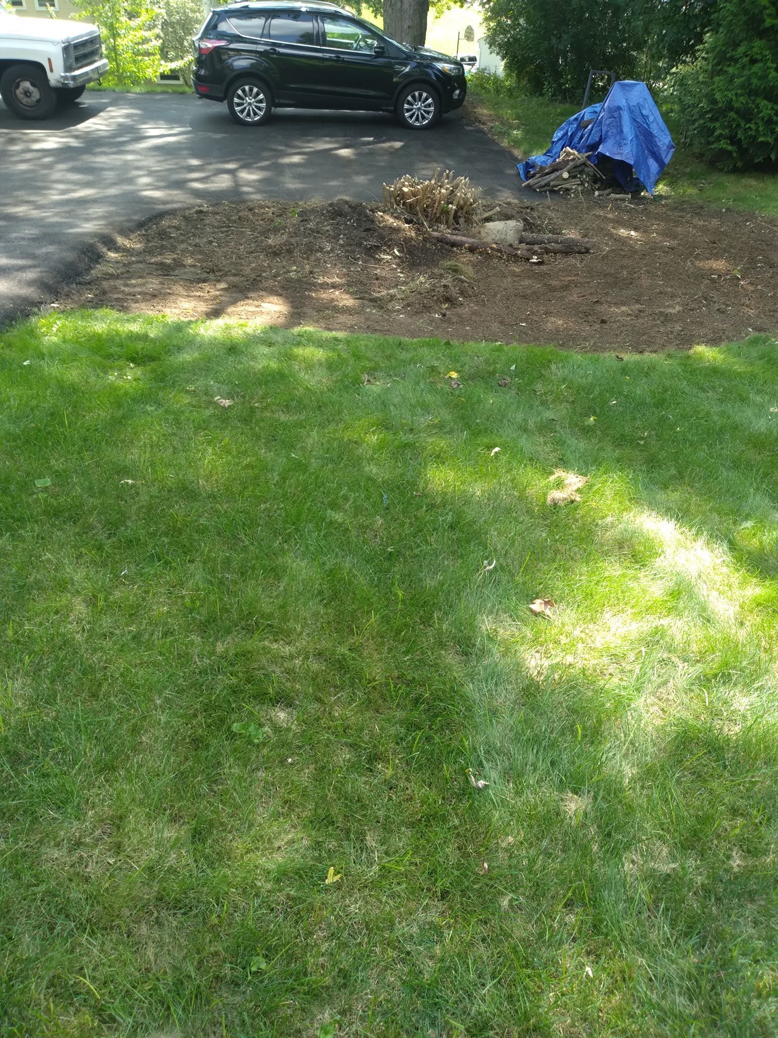 Yard with fresh soil patch, stump, blue tarp, car, and green grass.