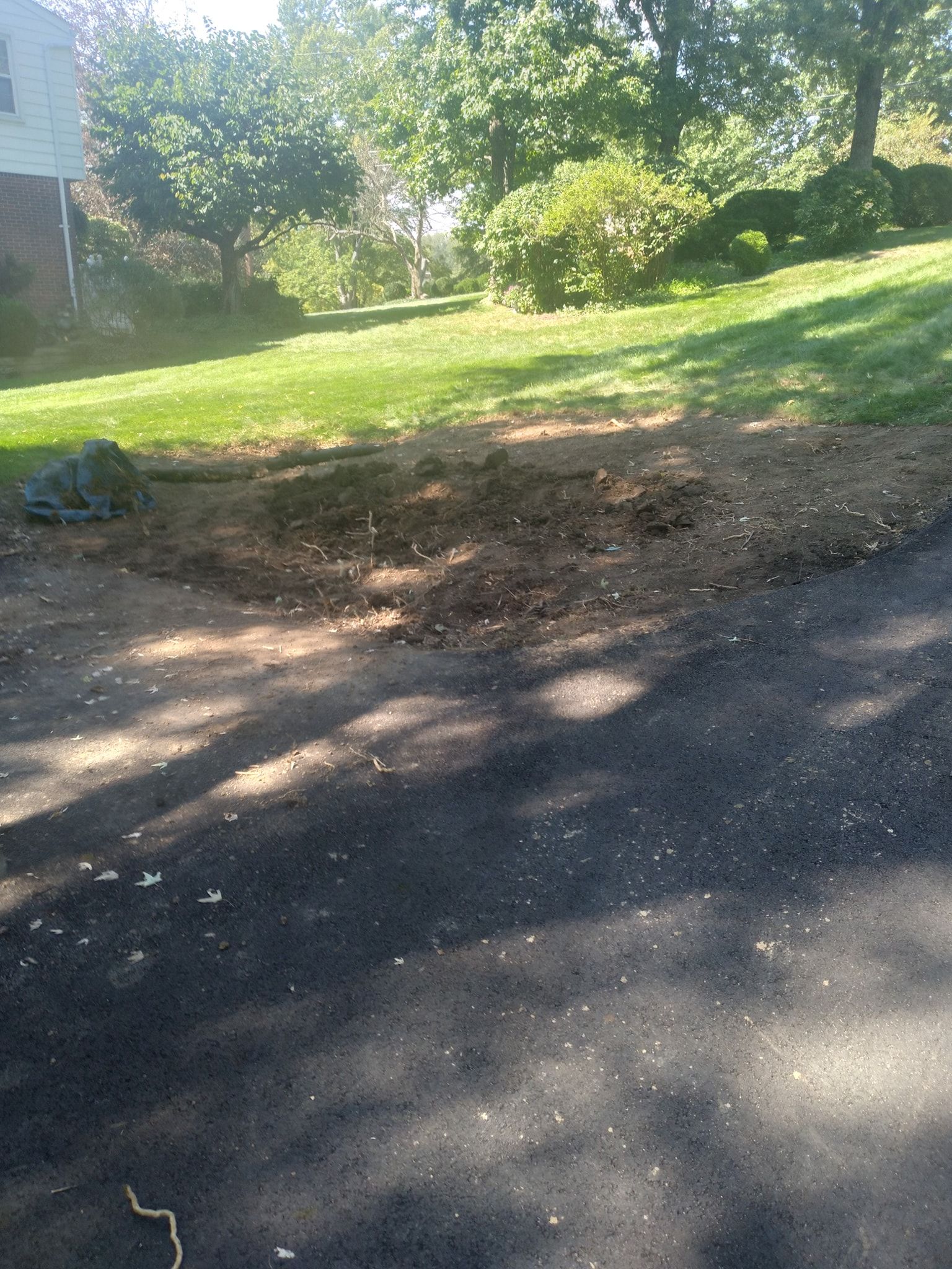 Driveway leading to a grassy area with trees and a small dirt patch. Sunny outdoor setting.
