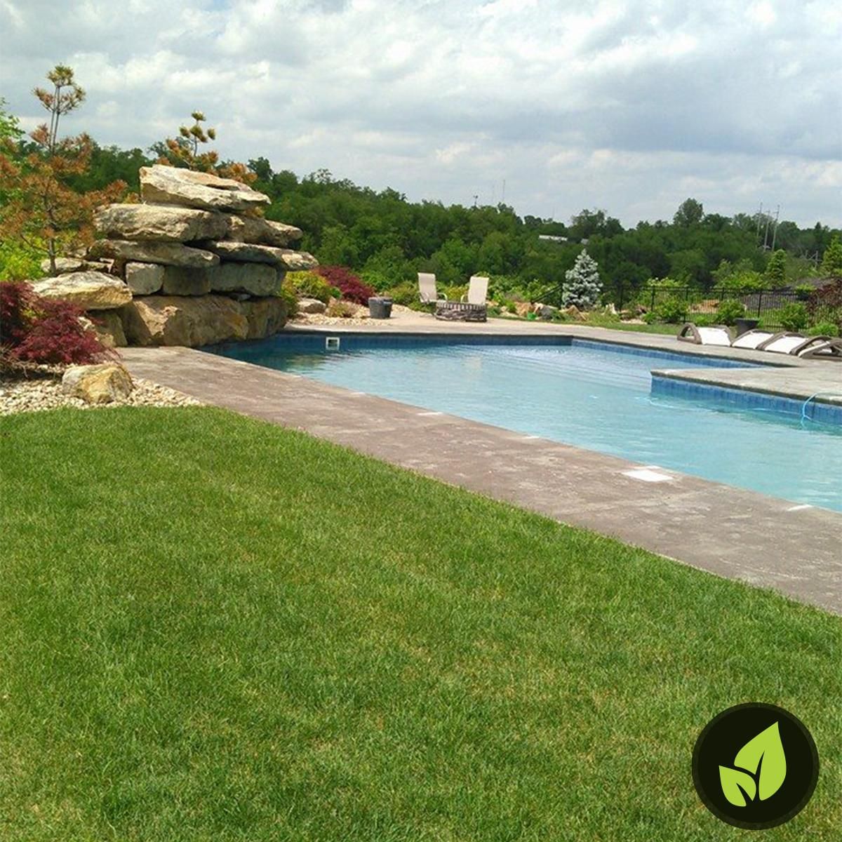 Pool with a stone waterfall feature, surrounded by green grass and landscaping on a sunny day.