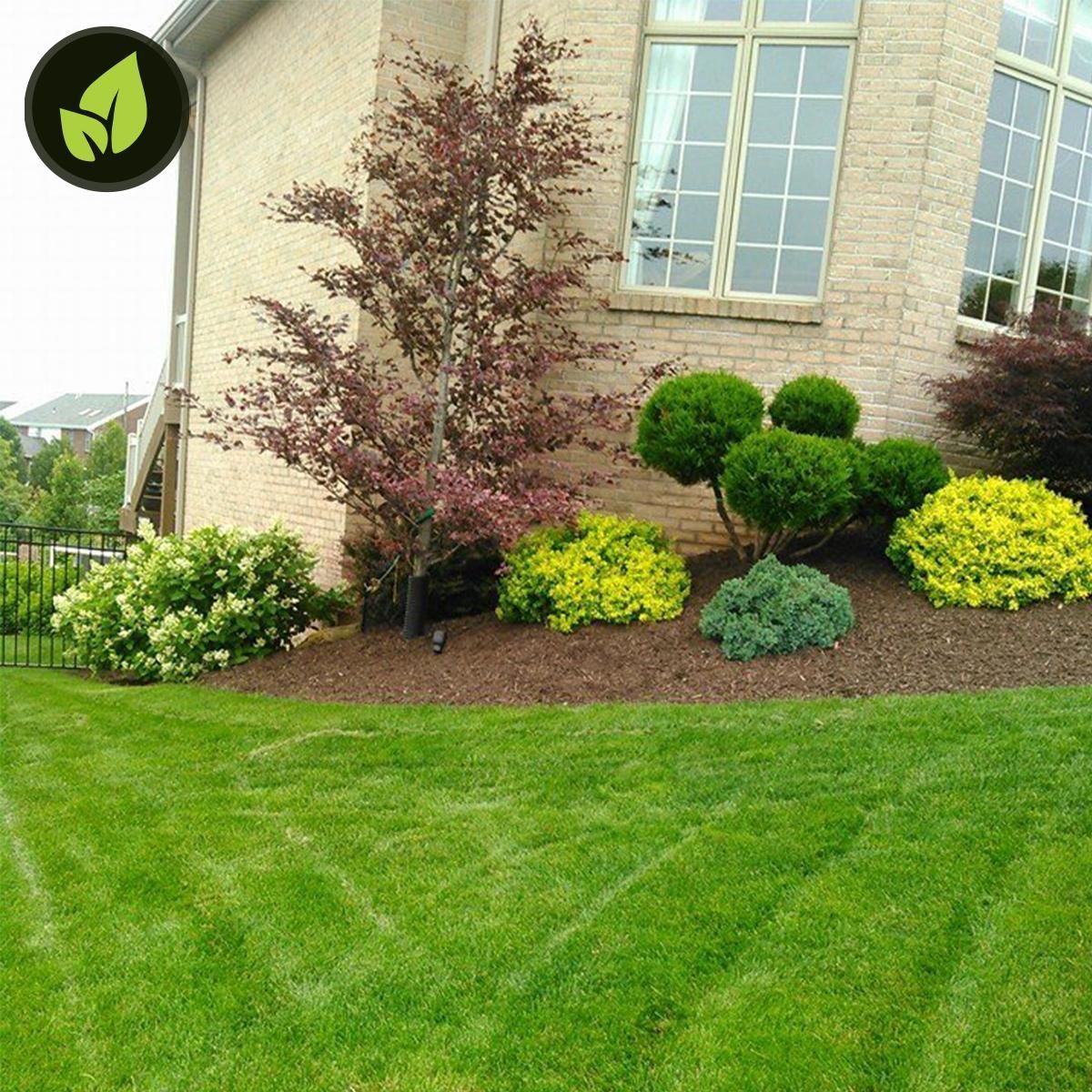 A well-landscaped yard with colorful shrubs, a tree, and a lush green lawn in front of a brick house.