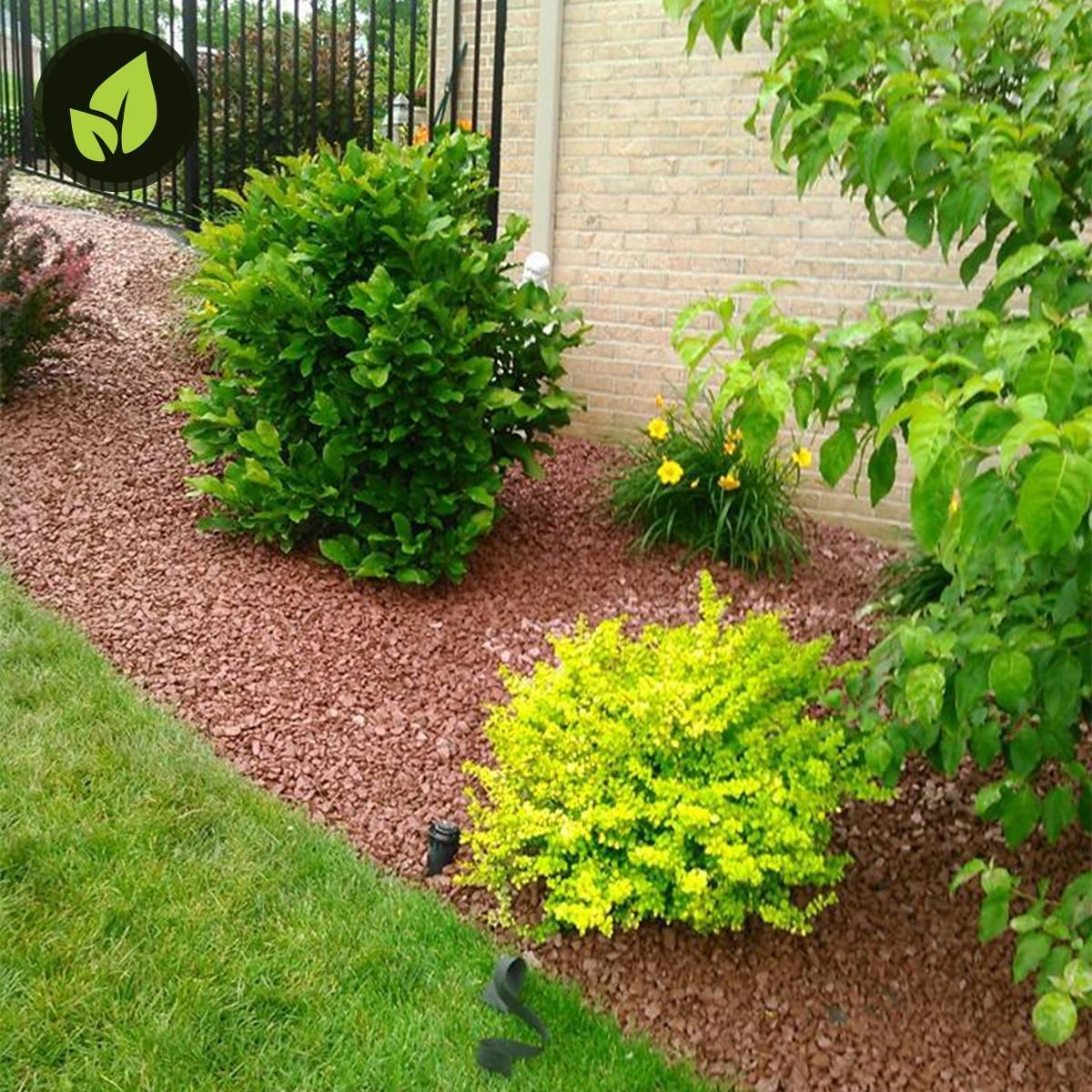 A landscaped garden bed with green and yellow shrubs, red mulch, and a brick wall next to grass.