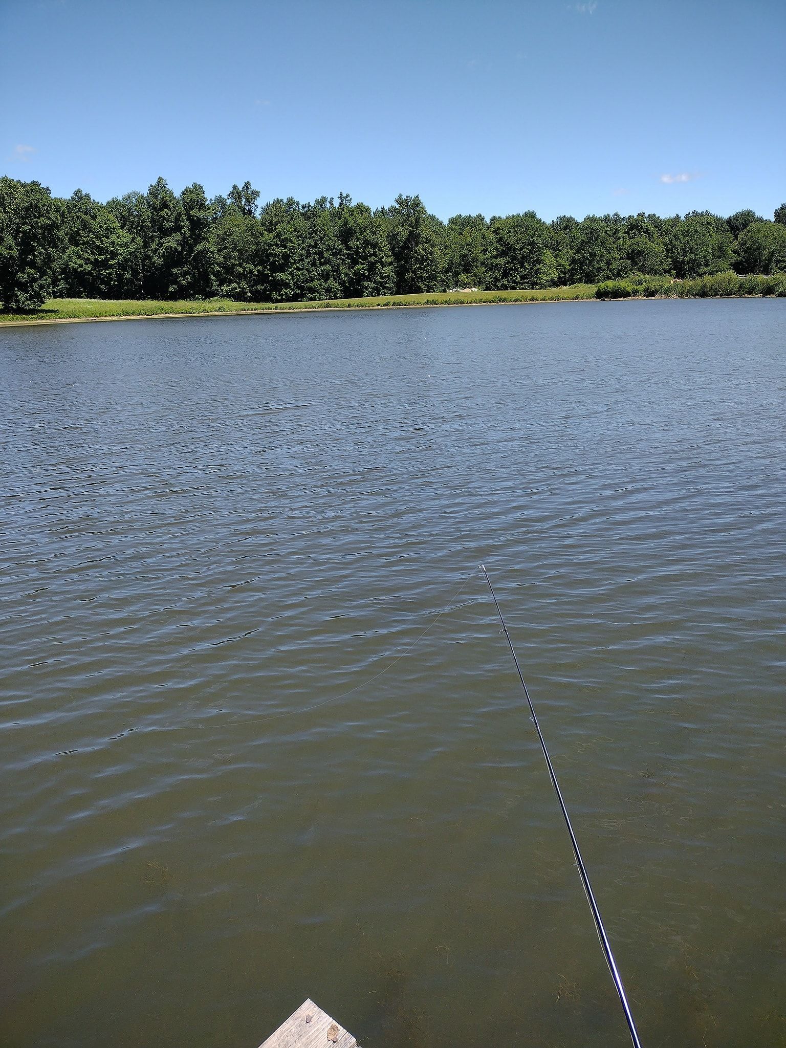 Lake view with fishing rod extending into water; trees line the far shore under a blue sky.