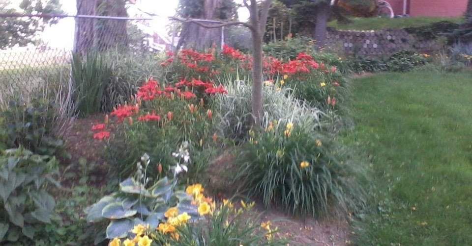 Flower garden with red, yellow, and white blooms in front of trees near a fence, with green grass.