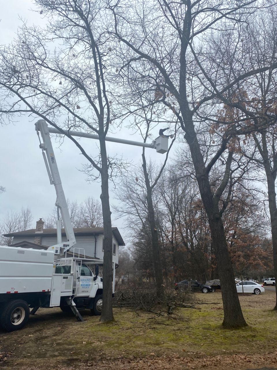 Maxon's Tree Service