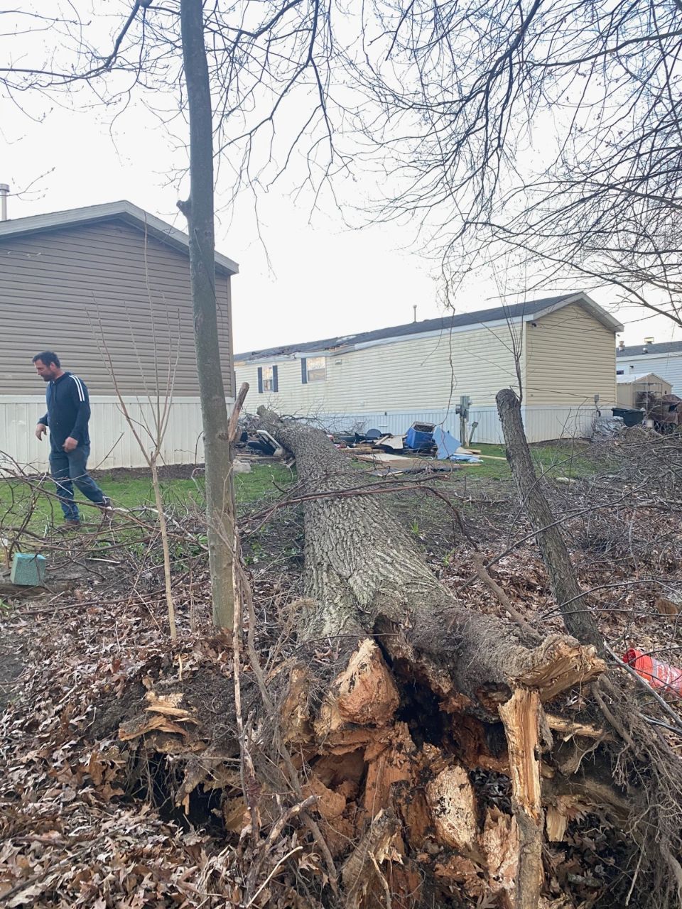 Maxon's Tree Service