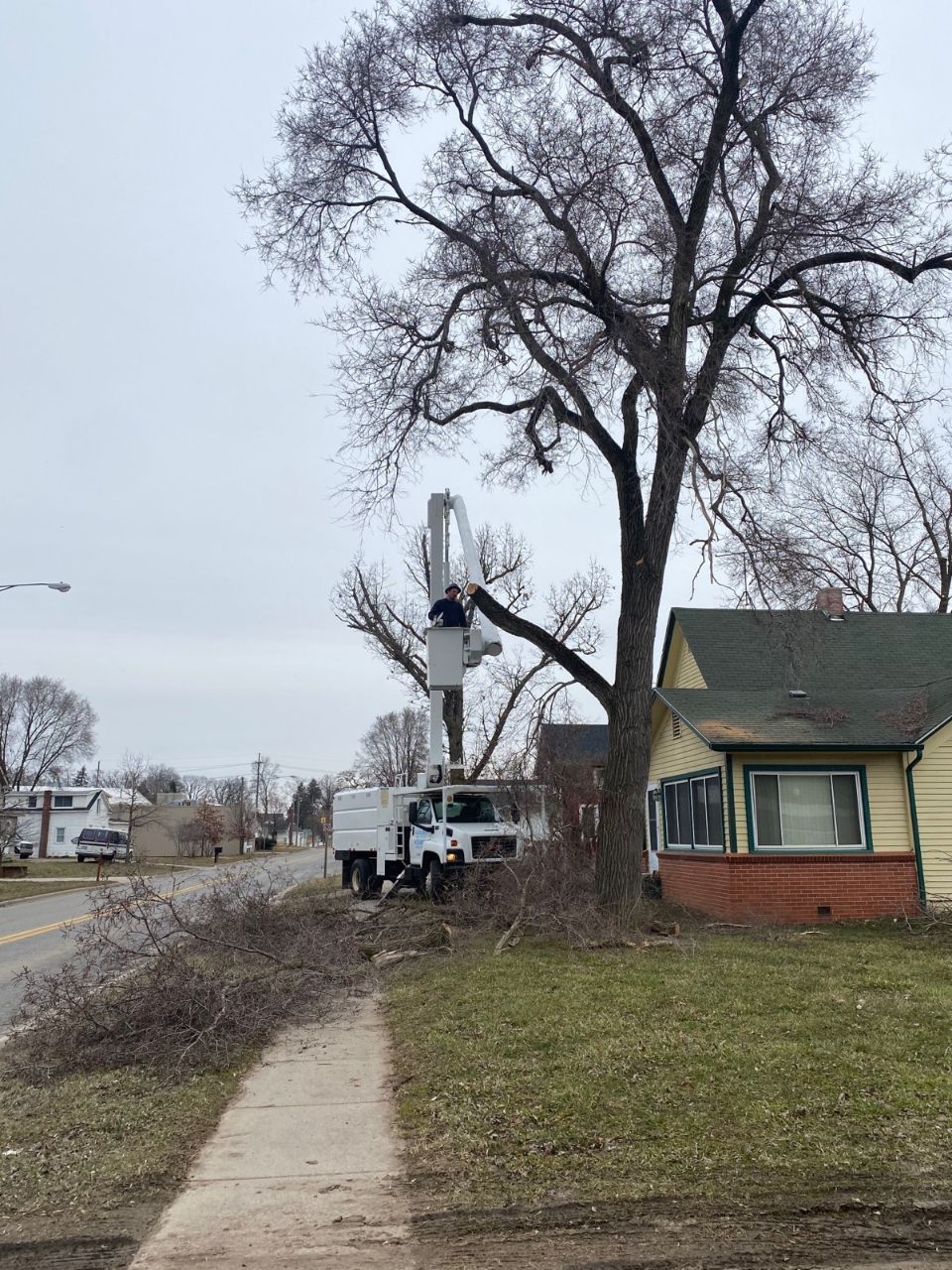 Maxon's Tree Service