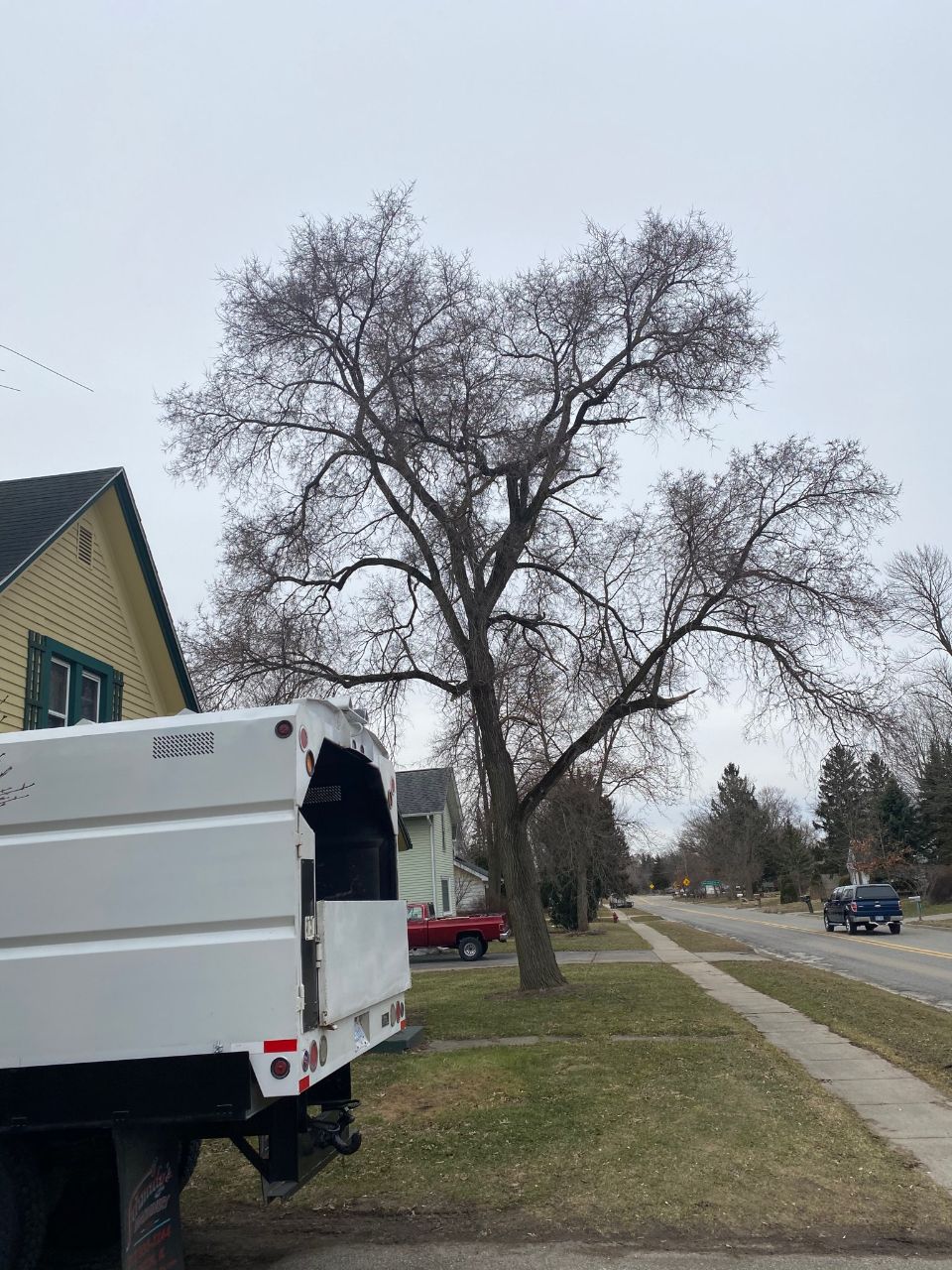 Maxon's Tree Service