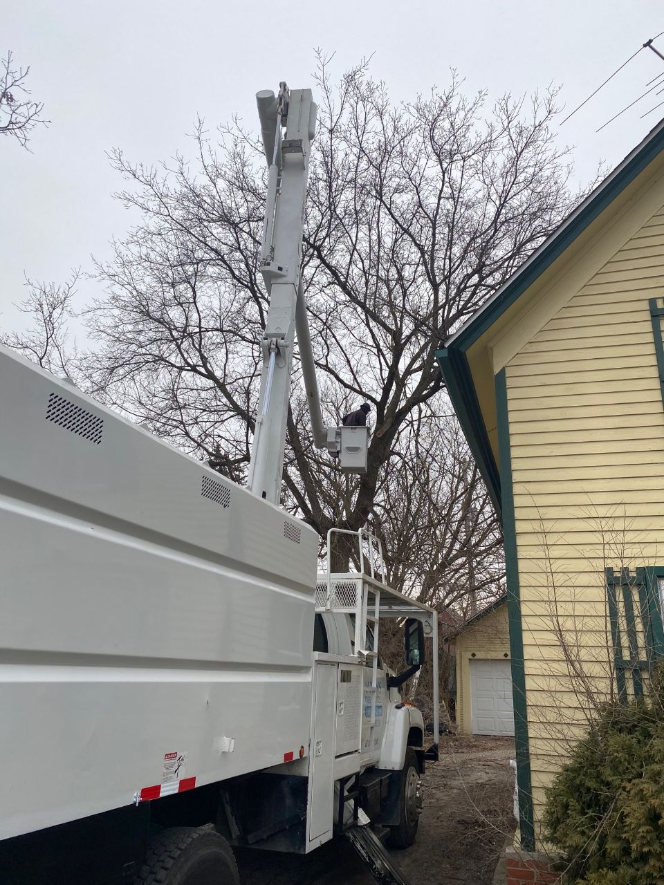 Maxon's Tree Service