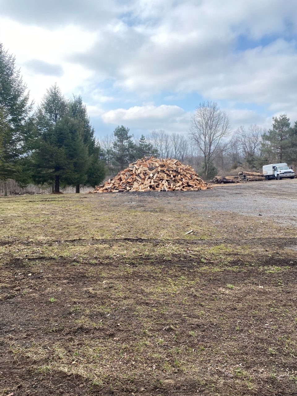 Maxon's Tree Service