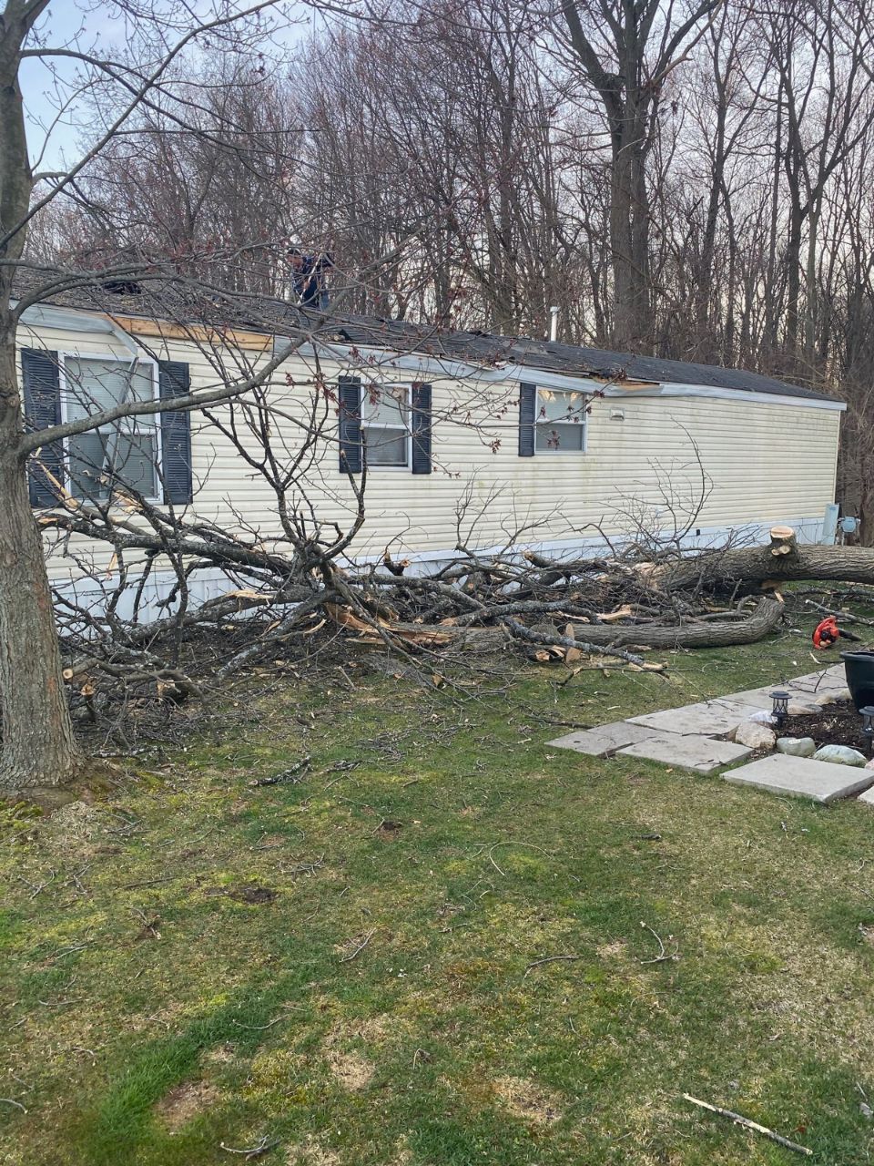 Maxon's Tree Service